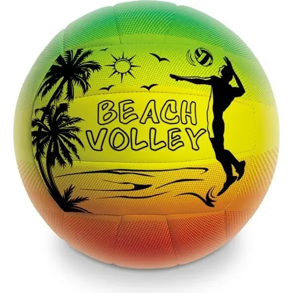 Volley Ball Jeu Beach Volley Ball Sur Plage Mer Arc Ciel Coloré